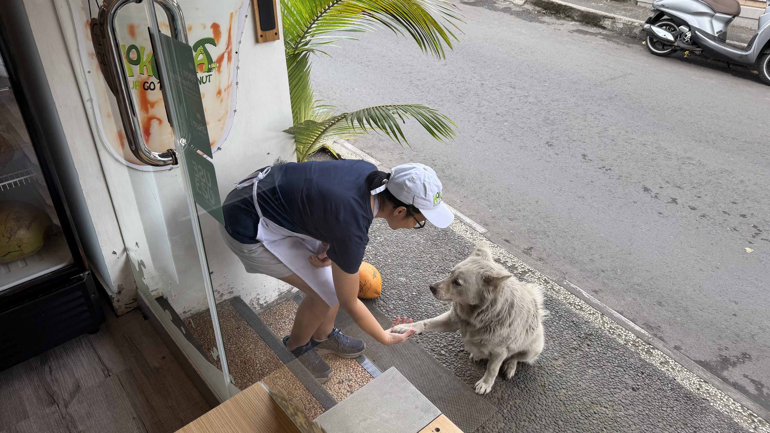 [발리 노트 #2] 그럼에도 불구하고 친절을 베푸는 사람들 | Those Who Choose Kindness Anyway